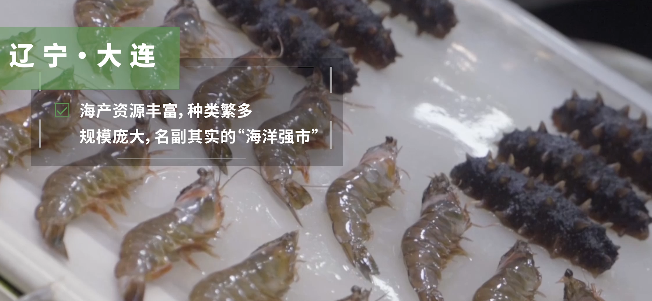 顺丰-大连海产