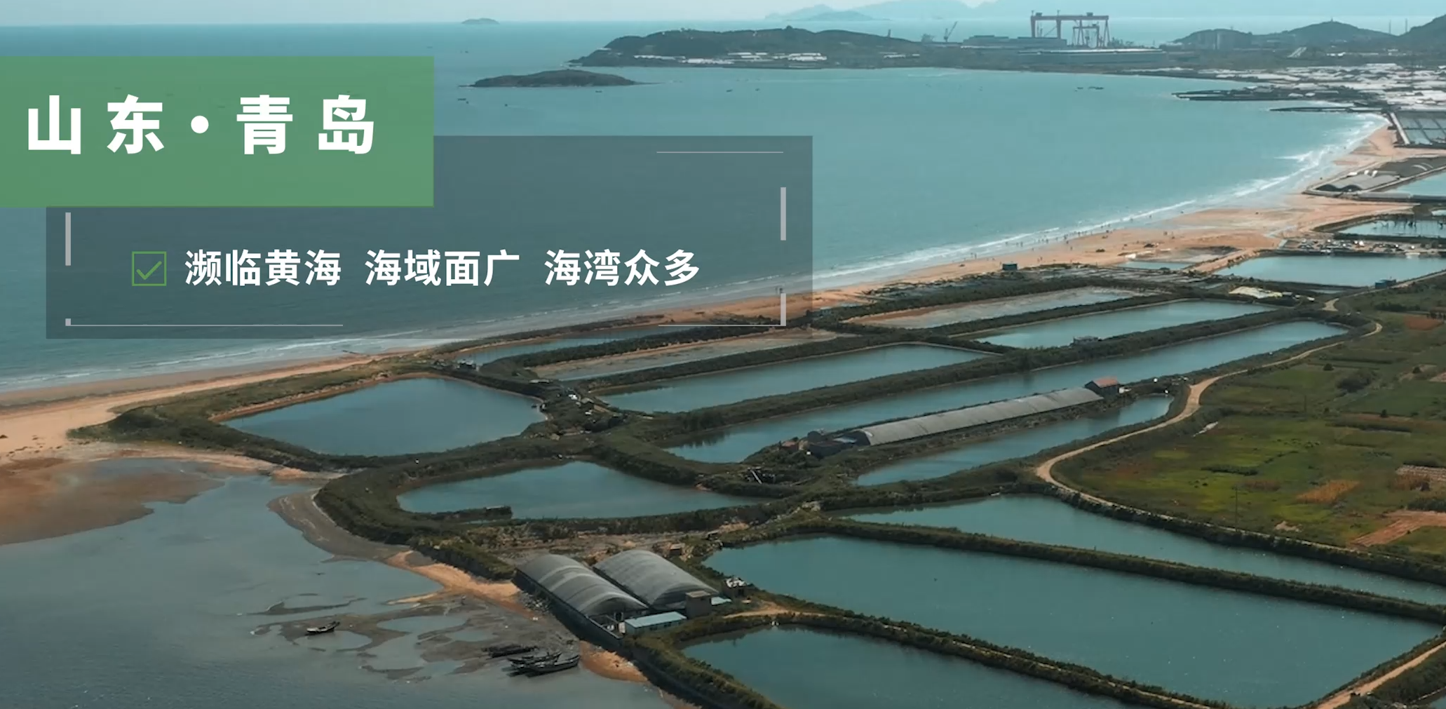 顺丰-青岛海鲜