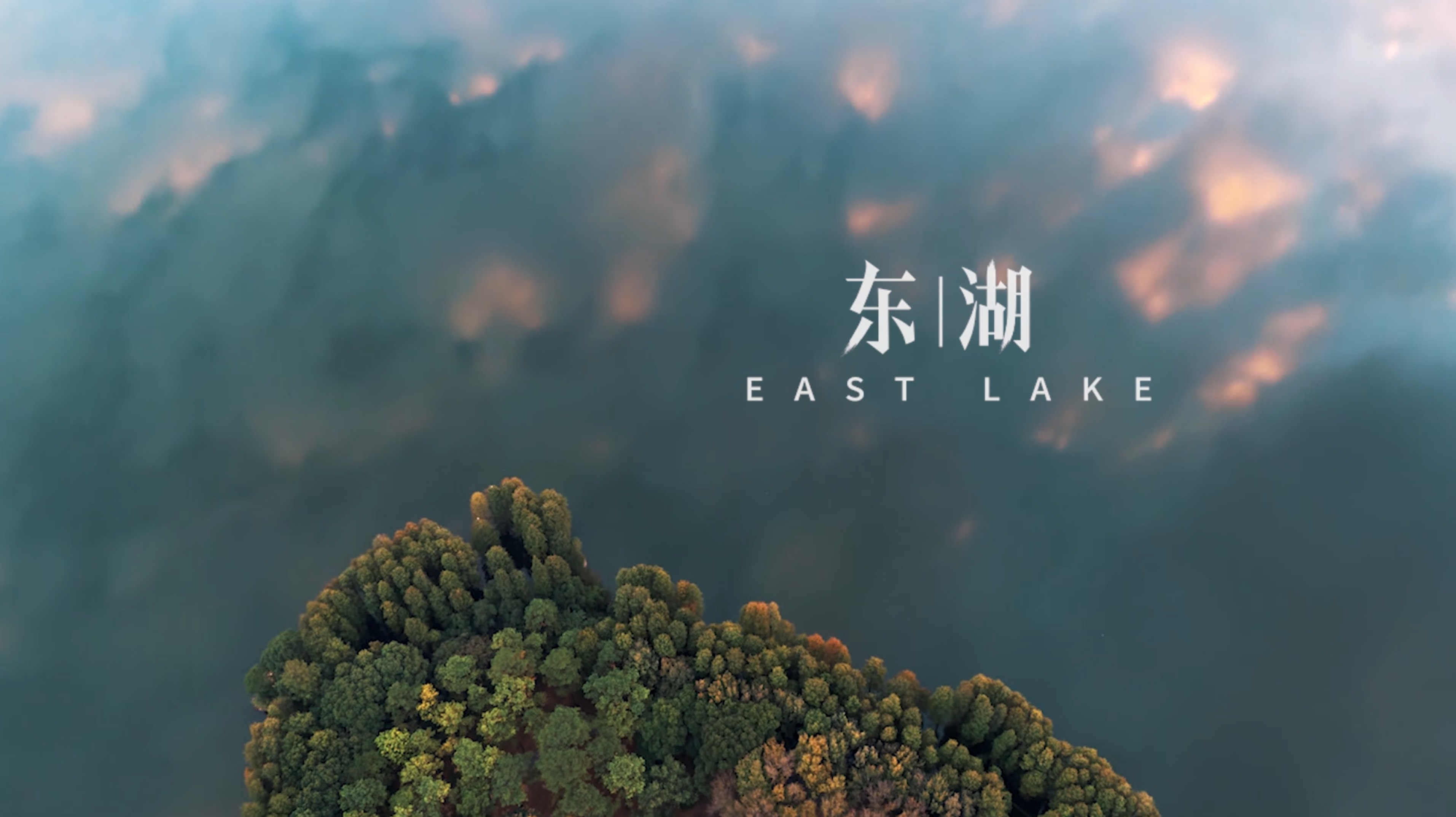 《东湖》中文版