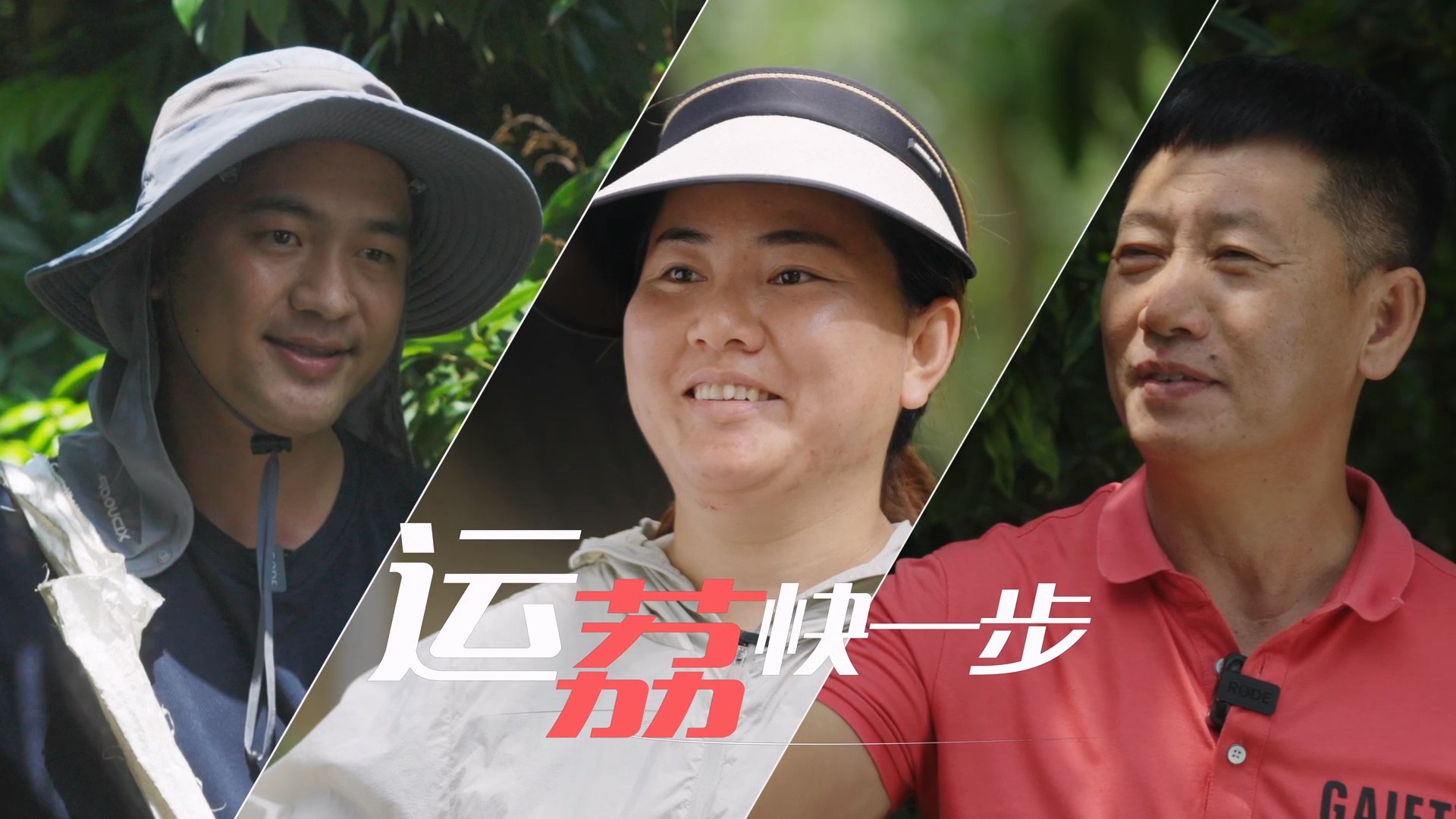 顺丰荔枝物流解决方案