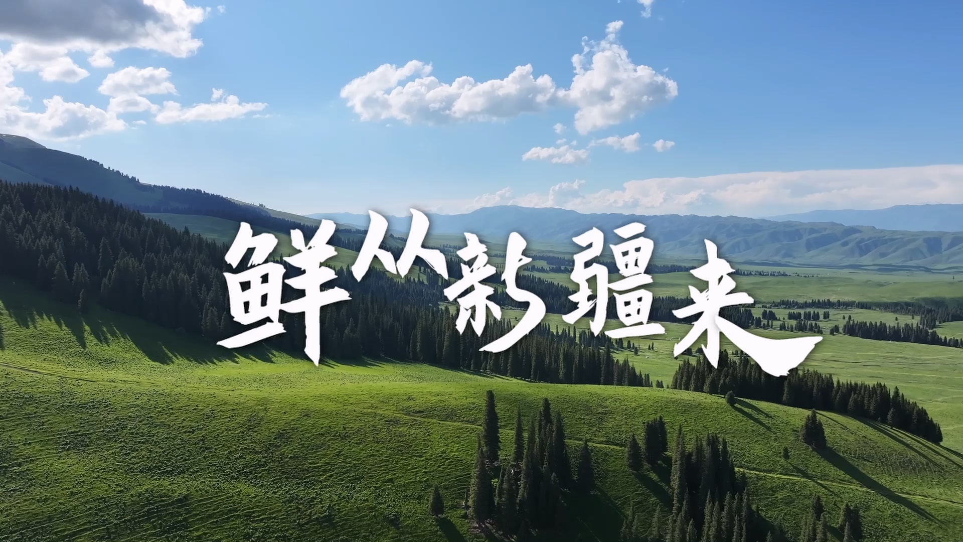 鲜从新疆来